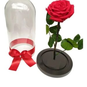 Rosa inmoratlizada - comercializadora faroliz